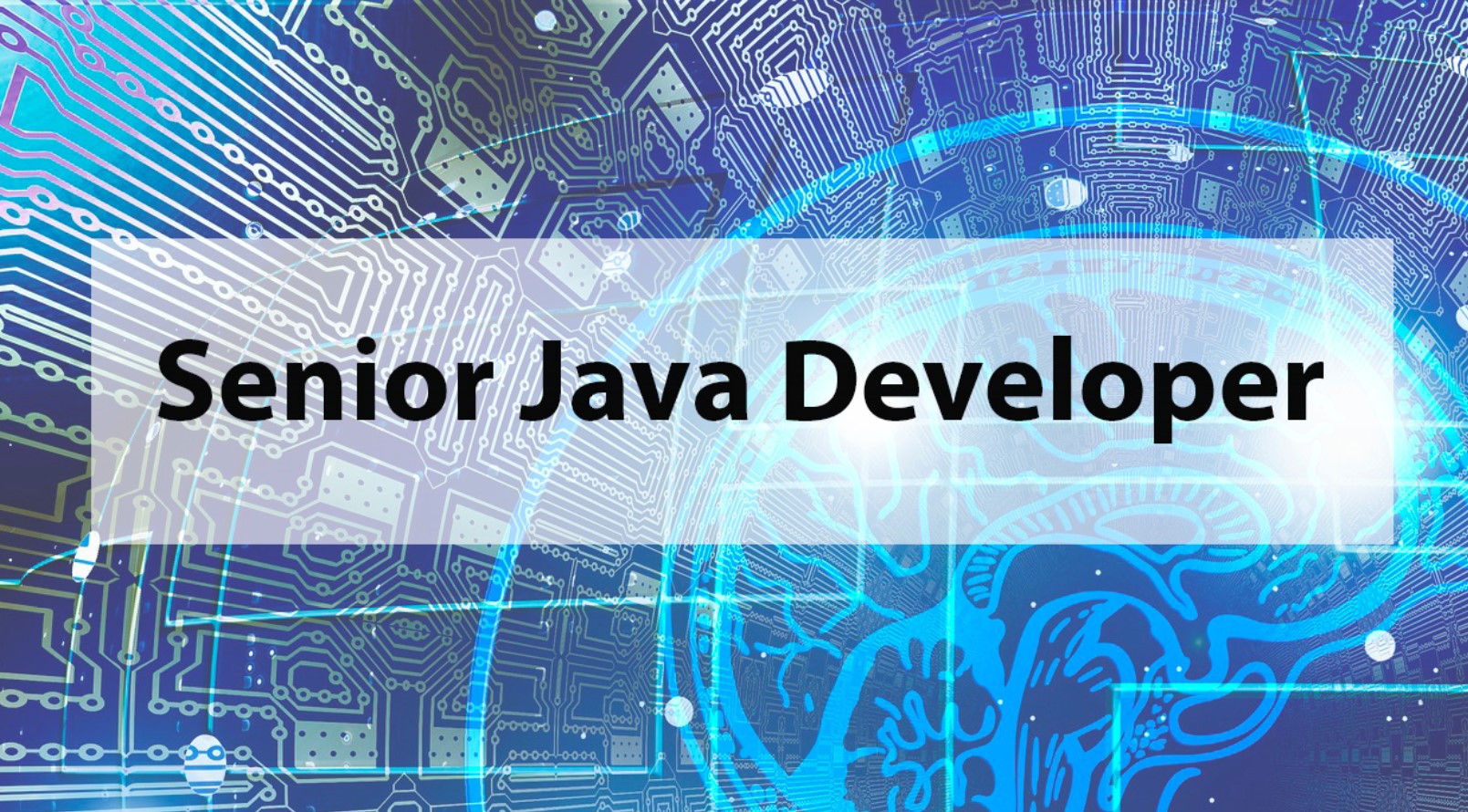 Senior Java Programmer